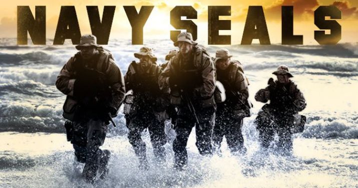 Image result for Seal team of usa