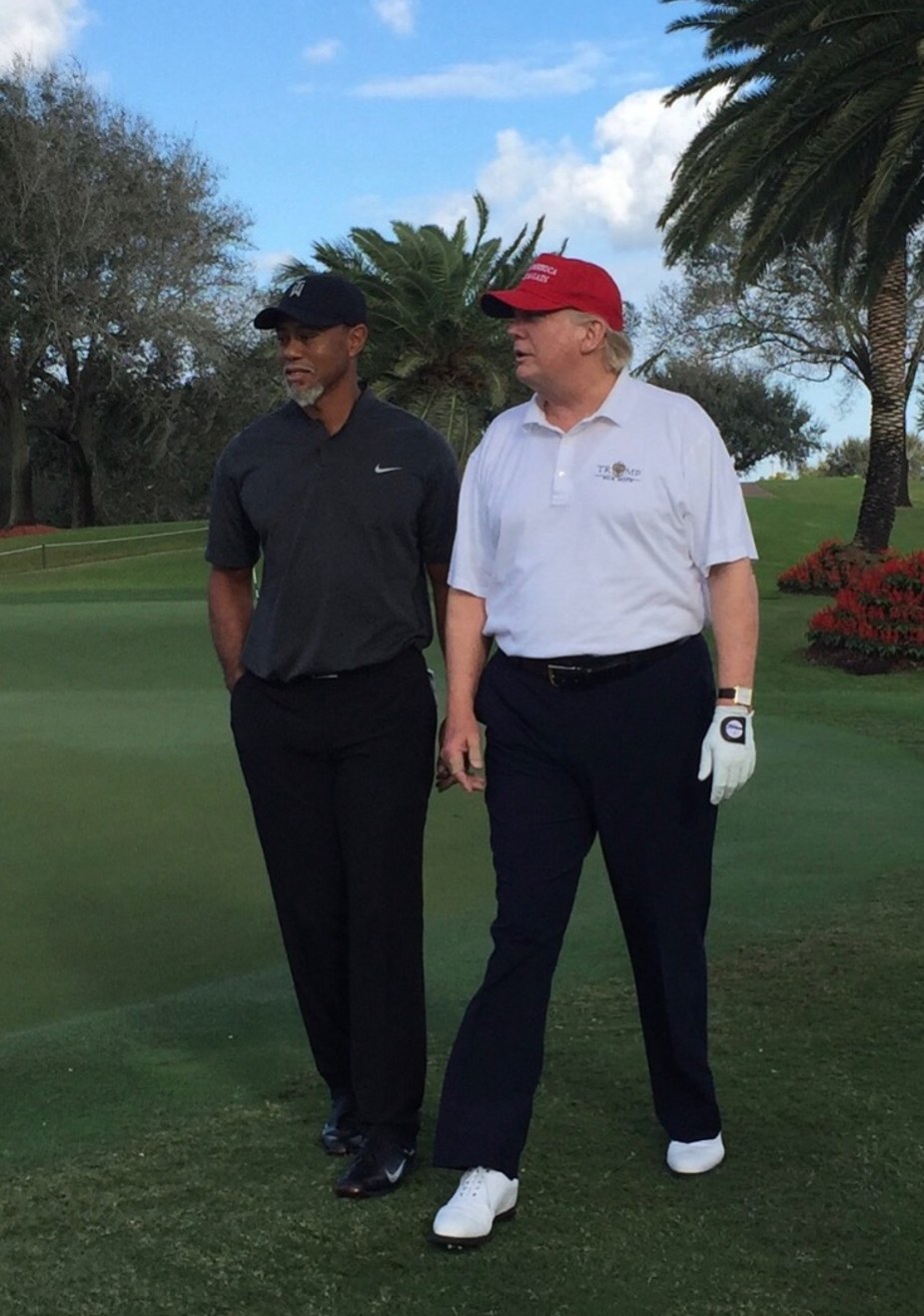 Tiger And Trump A Christmas Eve's Eve A Reality
