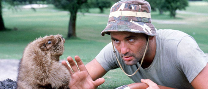 Caddyshack:  This Book Is As Wacky As The Movie