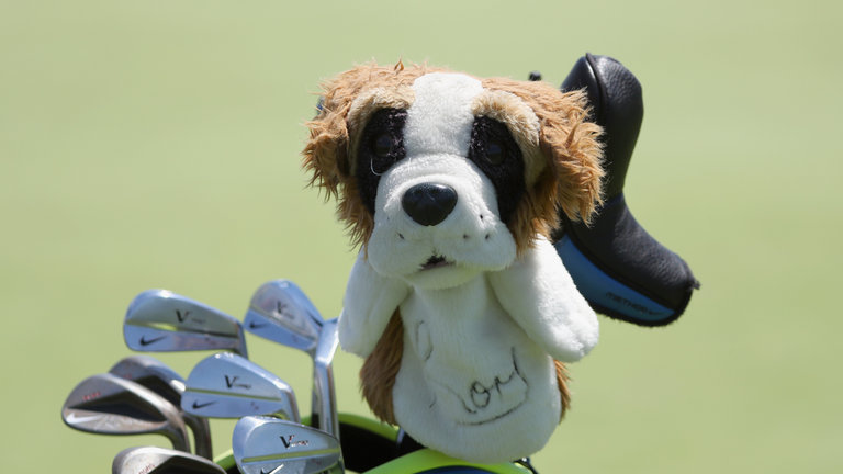 Rory McIlroy Has Perfect Dog House Headcover