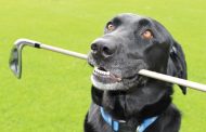 Dog Finds Mickelson's Golf Club In The Rough?