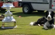 Hazeltine National Has It's Own Golf Course Dog!