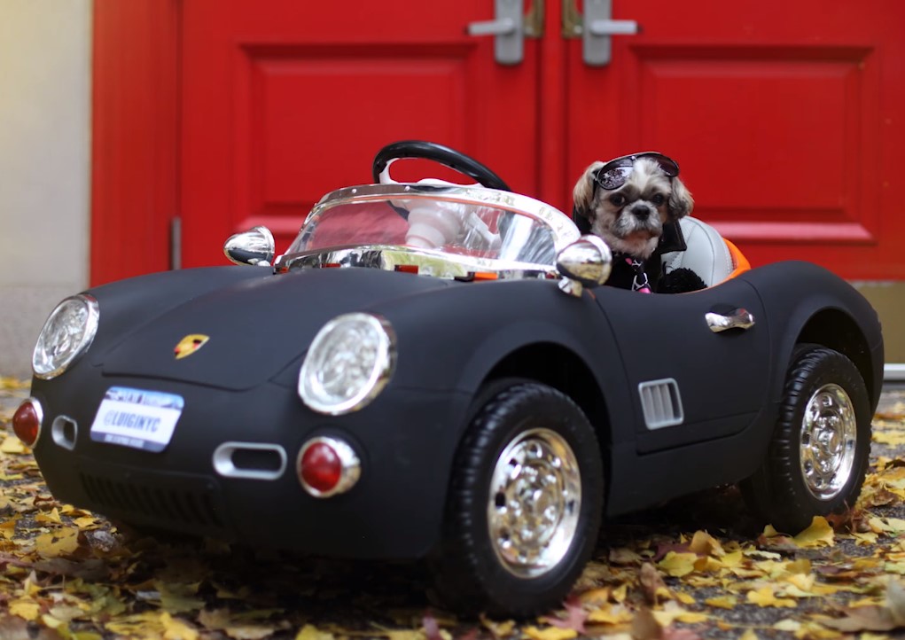 Dog House Dogs Demand Ride In Ross Fisher's BMW I-8