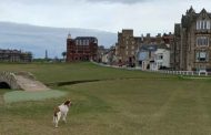 The Old Course -- Now It's One Massive Dog Park?