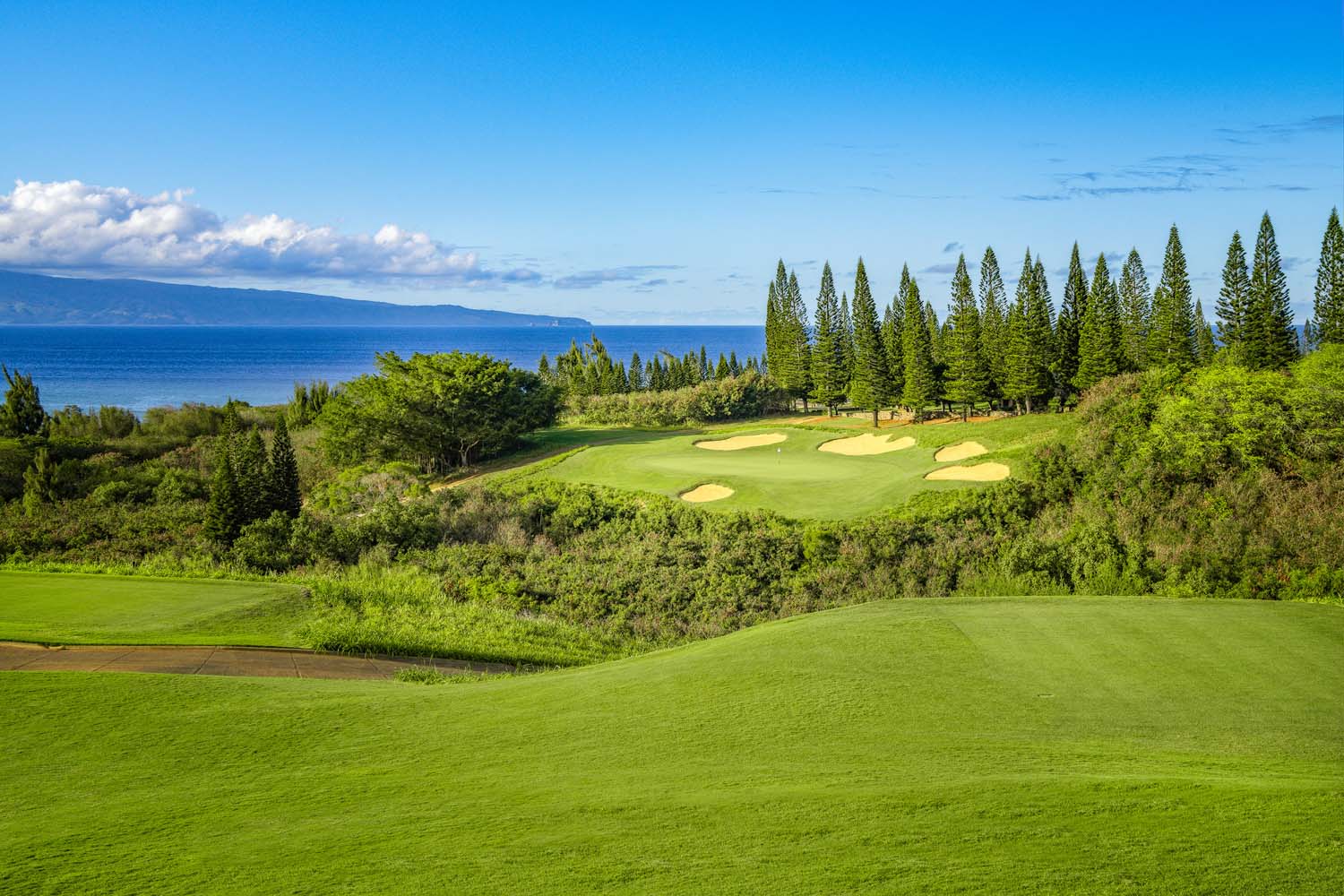 Maui Wowie:  Justin Thomas, Harris English Go Low At TOC