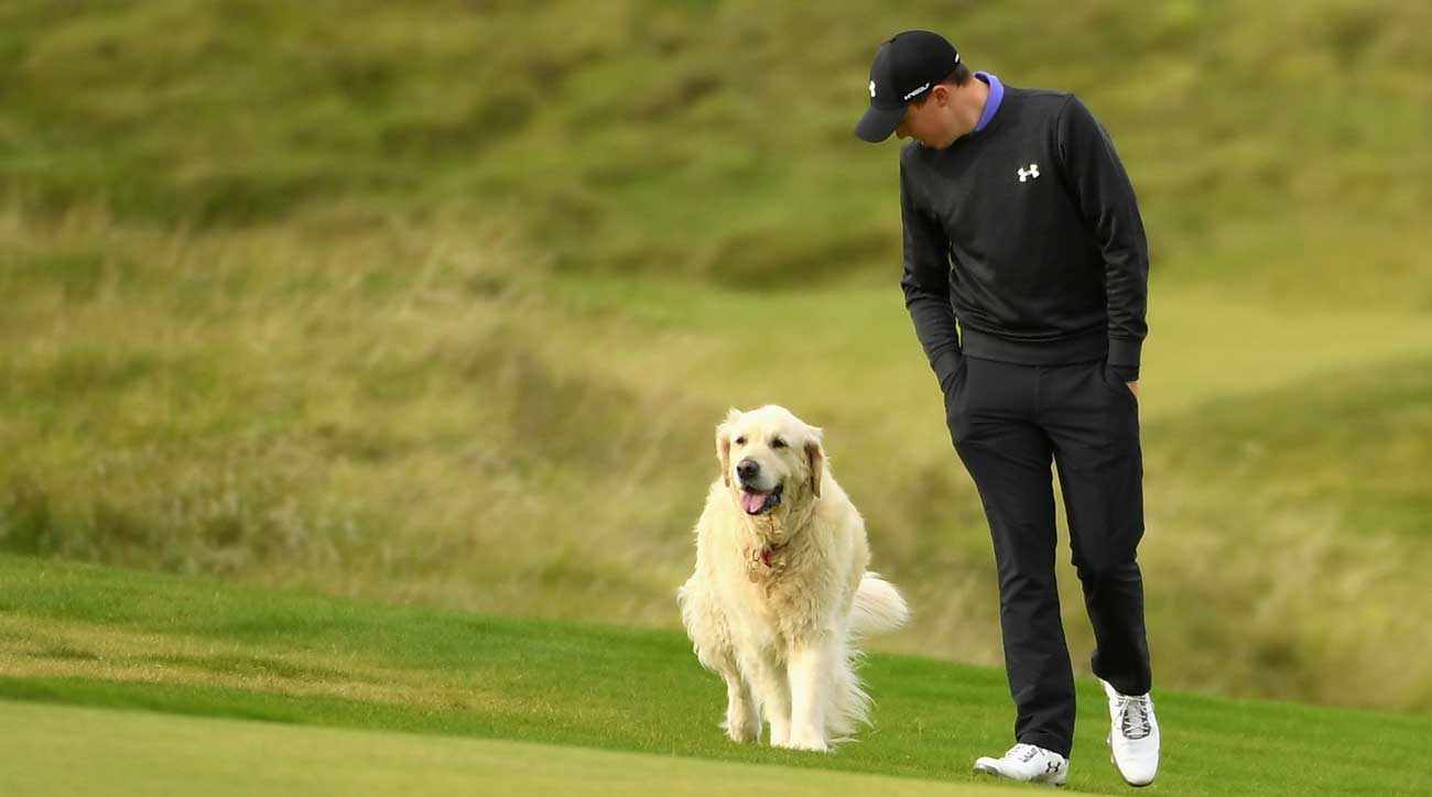 Rory McIlroy Chucks His 3-Wood;  Dogs Volunteer To Search