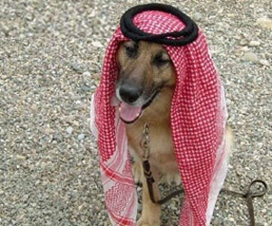 Saudi-Loving Jason Kokrak Sent To Our Dog House